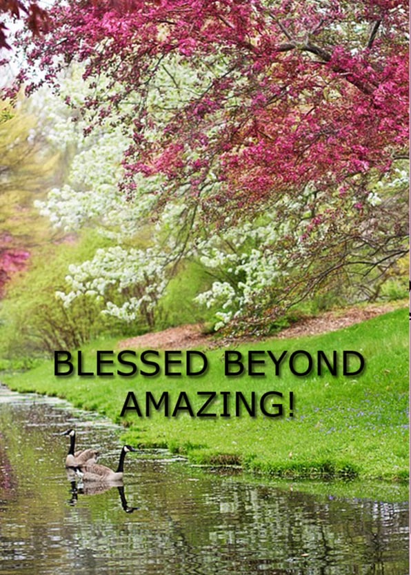 Blessed Beyond  Amazing